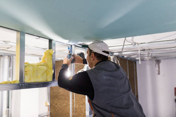 Best DIY Insulation Kits and Guidance in , DE